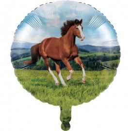 Paarden Metalen Ballonnen