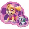 Online Paw Patrol Folieballon Skye Everest Goedkope