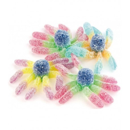 Mini Octopus Pica Trolli 1 kg